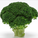 ブロッコリー